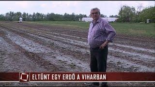 Eltűnt egy erdő a viharban - TV2 Tények 2015.05.07.