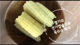 쌀기의 전기밥솥으로 옥수수 찌기