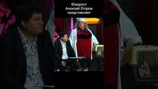 ИЗ ЧЕГО ЖЕ ОНА СДЕЛАНА? I ЮМОРИСТ ЕГОРОВ ПРЕДСТАВЛЯЕТII #юмор #comedy #приколы #шутки #вайны #смех