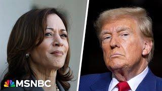 Harris team thinks if they can goad Trump back on debate stage, Harris can win again: Hugo Lowell