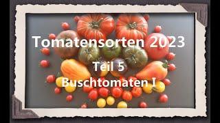 Tomatensorten 2023 Teil 5 - Buschtomaten I