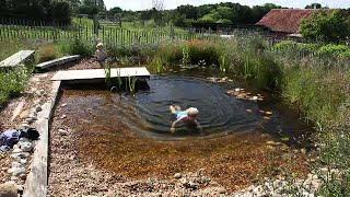 how to build a DIY organic pool:natural pool in 3 minutes