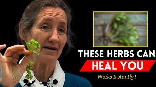 HERBS That Cleanses BLOOD and TISSUE of Our Body | Barbara O'Neill