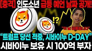 [충격] 인도소년 급등 예언 날짜 공개! “트럼프 당선 적중, 시바이누 D DAY” 시바이누 보유 시 100억 부자!