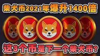 柴犬币2021年升1400倍  这3个币是下一个柴犬币？｜Shiba Inu｜百倍币｜Cryptonews