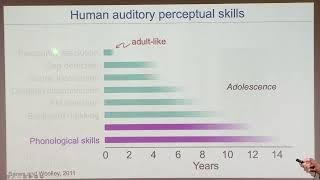 Auditory cortex plasticity supports social learning