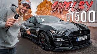 760PS SHELBY GT500 | Brutale V8-Power im Ford Mustang! | Daniel Abt