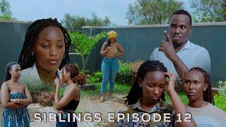 SIBLINGS S01 EP12