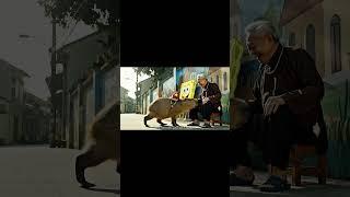 Lão Và Capy | Capybara gặp plankton được ông lão cứu... #veo3 #viral #funny #laovacapy #spacemedia