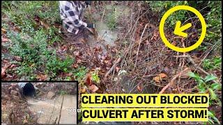 CLEARING MASSIVE DEBRIS CLOG FROM CULVERT! 12/2024