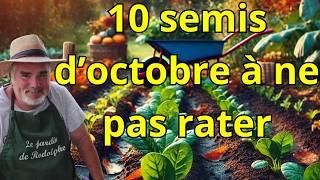 Quels Légumes Semer en Octobre pour des Récoltes Généreuses au Printemps ?