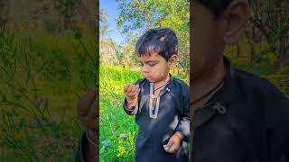 Dukh Sade Magron Nai Landhy #shorts #viral #youtubeshorts #trending #shortvideo #shortfeed