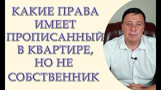 Какие права имеет прописанный в квартире, но не собственник