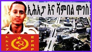 Sheger FM Terek - ኢሕአፓ እና ሻምበል ሞገስ ( የኢሃፓ የትግል ታሪክ ) ክፍል - 37 | sheger Fm mekoya | ትዝታ ዘ አራዳ