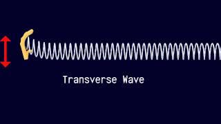 Longitudinal and Transverse Waves