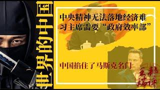 中央精神无法落地经济难，习主席需要“政府效率部”；中国掐住了马斯克命门；官僚主义内生动力极强|《世界的中国》（20241124）