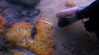 Metal detecting UNDERWATER: Golden Dives finds a Gold chain