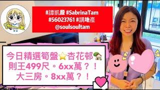 今日精選⭐️杏花邨則王6xx萬大三房8xx萬499尺vs 560尺全港tip筍盤頻道#講地產 #譚凱殷 #SabrinaTam #56023761 ​⁠