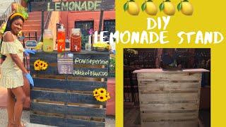 We Built Our Lemonade Stand from SCRATCH  | FRESHLY SQUEEZED