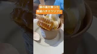 蜂の巣が乗った高級ハチミツソフト　堀養蜂園 蜜や　おすすめ　美味しい　アイスクリーム　人気　岐阜県瑞浪市穂並１丁目 58番地　飲食店　グルメ　デザート　スイーツ　デザート　おしゃれ　おいしい　健康にい