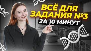 ВСЯ ТЕОРИЯ задания №3 для ЕГЭ по биологии за 10 минут | Умскул