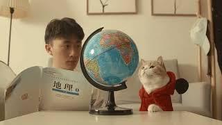考試沒考好，還有臉看動畫片？作為家長要給孩子補課。| 奶糕成精檔案社
