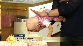 Expert visar: Så gör du om ett barn sätter i halsen - Nyhetsmorgon (TV4)