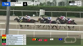 Gulfstream Park November 15, 2024 Race 4