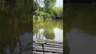 Краса та природа на рибалці #fishing #shortsfishing
