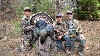 Hunting the Road Runners! (Merriam's Turkey Hunt, Camp, Cook)
