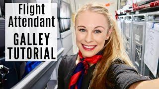 Boeing 737 GALLEY TUTORIAL! Domestic Flight (Flight Attendant Life, 2019)