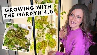 Our experience with the Gardyn 4.0 hydroponic indoor vertical gardening system!