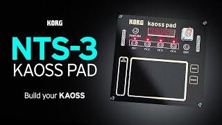 NTS-3 kaoss pad - Build your KAOSS