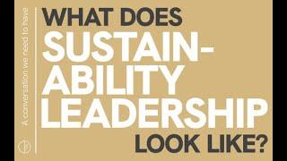 A conversation we need to have: "What Does Sustainability Leadership Look Like?"