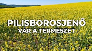 Pilisborosjenő - vár a természet | 4K