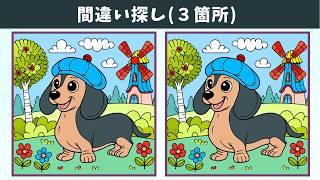 【間違い探し】中・上級者向け！難しい脳トレで楽しみながら頭の体操！アハ体験【クイズ】