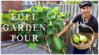 DID OUR GARDEN SURVIVE AFTER A LONG HOLIDAY! JULY GARDEN TOUR