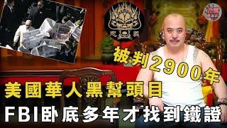 美國華人黑幫老大周國祥被判2900年！9歲揚名香港黑道，3進3出美國監獄，連FBI都忌憚他【迷霧調查組】案件解說 案件推理 黑帮案件