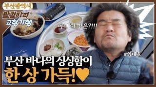 [발길따라 고향기행] 부산, 다시 희망을 품다 - 부산광역시 [6시 내고향] | KBS 220119 방송