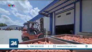 Chuỗi cung ứng lạnh vẫn tiếp tục nóng lên | VTV24