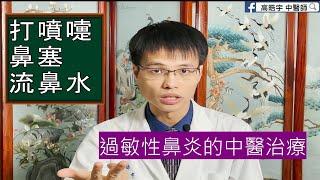 【過敏性鼻炎】三種方法，根治鼻過敏 ｜過敏性鼻炎的中醫治療