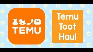 Temu Toot Haul - Feb 2024