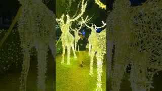 Australia's Funny Gangnam Star | Sydney #tamil #video #viral #gangnam #dance #tiktok #tiktokvideo
