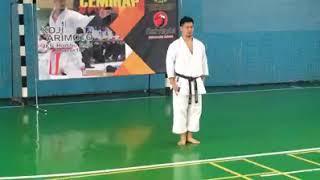 Kata Unsu by Sensei Koji Arimoto | Ката Унсу сенсей Коджи Аримото #jks #karate #unsu #kata #arimoto