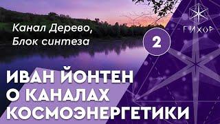 #26 Канал космоэнергетики Дерево (Блок синтеза)