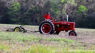 Farmall B plowing   #shorts