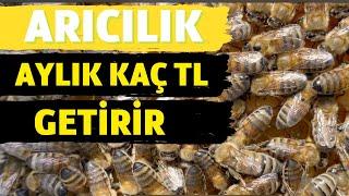 Arıcılık Yaparak 1 Milyon ₺ Kazanmak