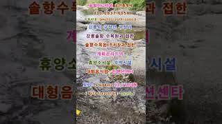 강릉시 강릉 솔향수목원 휴양소시설, 숙박시설, 대형음식점, 공동주택단지 토지 1,718평