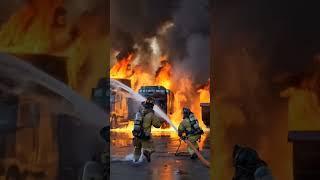 These persons are helping to fire out America  #shorts #shortsfeed
