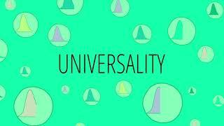 What Is Universality?